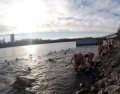 Bratislava Dunaj 2014 Zimne plavanie